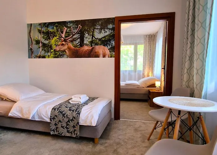 Chopina Duszniki Zdroj